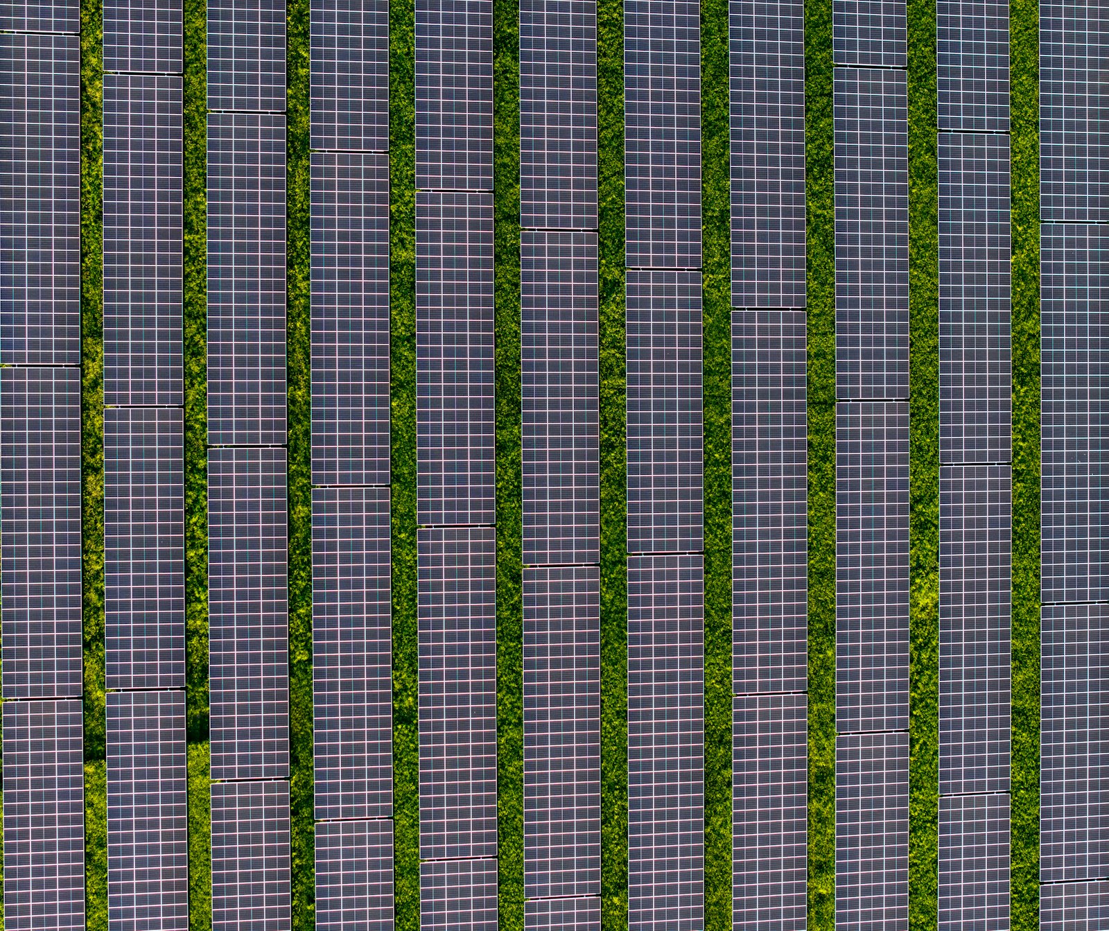 Agri-PV: Solarpark mit gr&uuml;nen Gras-Reihen zwischen den Modulen