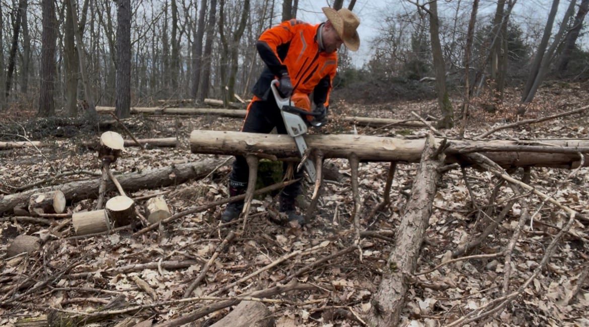Waldarbeit mit der Kettensaege im Revier