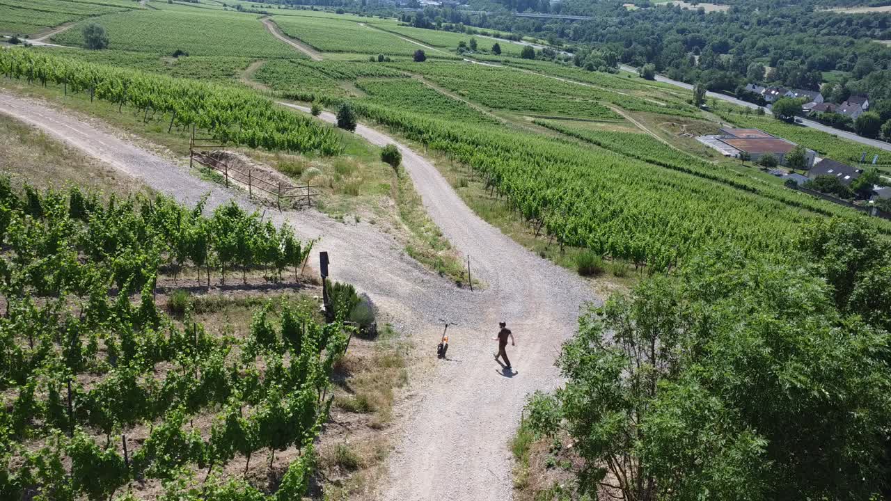 Schotterwege durch den Steilhang-Weinberg von oben